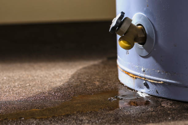 Best Flood restoration services  in Apollo Beach, FL