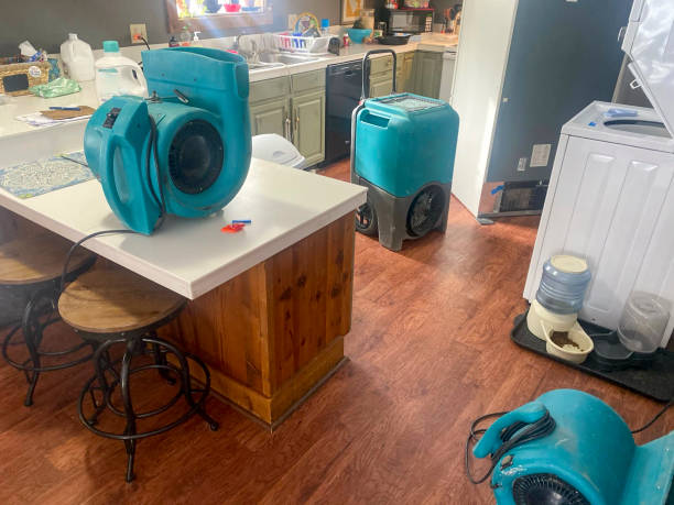 Best Ceiling water damage repair  in Apollo Beach, FL