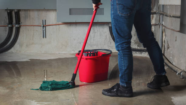 Best Mold removal after water damage  in Apollo Beach, FL