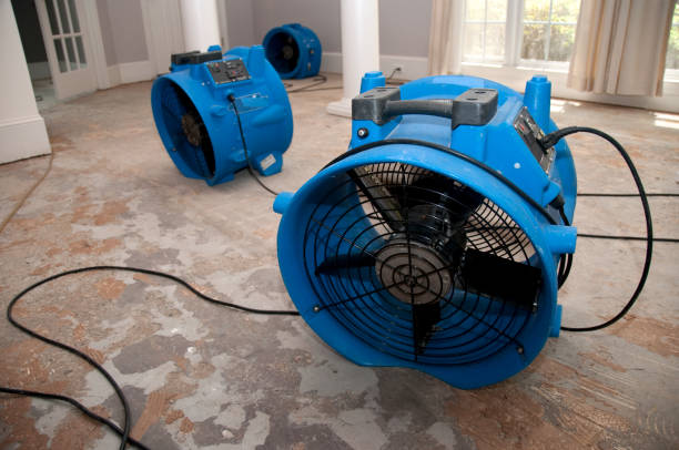Best Residential water damage restoration  in Apollo Beach, FL