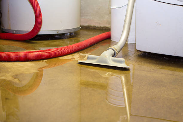 Best Commercial water damage restoration  in Apollo Beach, FL