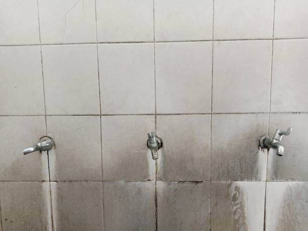 Best Flooded house restoration  in Apollo Beach, FL
