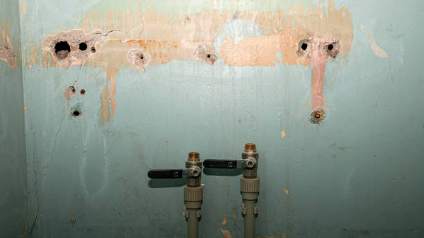 Best Fire Damage Restoration  in Apollo Beach, FL