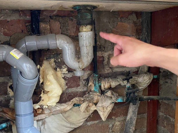 Best 24/7 water damage repair  in Apollo Beach, FL