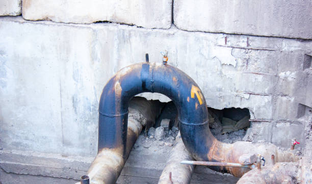 Best 24/7 water damage repair  in Apollo Beach, FL