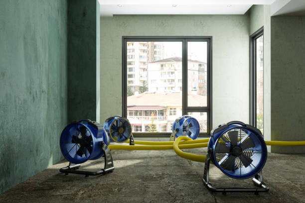  Apollo Beach, FL Water damage restoration Pros
