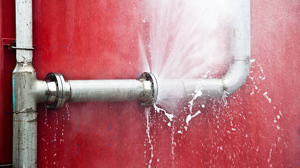 Best Professional water damage repair  in Apollo Beach, FL